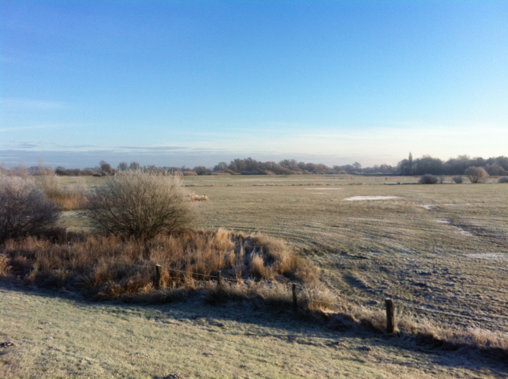 Blick vom Deich Lilienthal